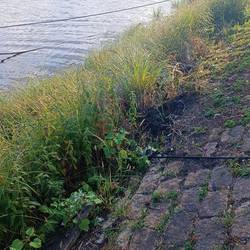 Einsatzbericht vom Dienstag, 30.08.2022
