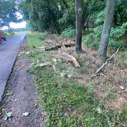 Einsatzbericht vom Sonnabend, 29.07.2023